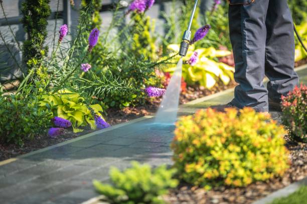 Best Restaurant Pressure Washing  in Lake Shore, MD